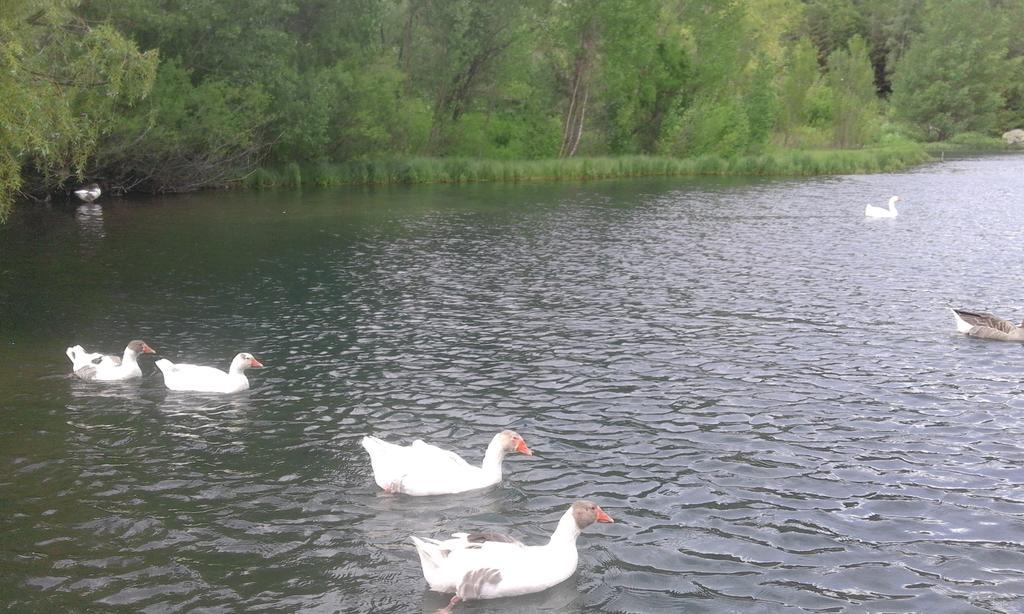 Jermuk Verona Resort Eksteriør bilde